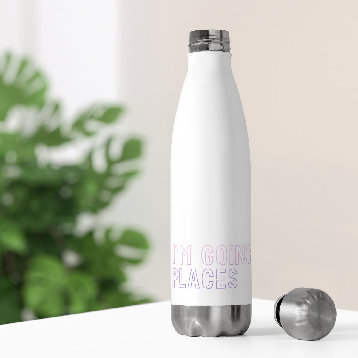 I'm Going Places 20oz Insulated Bottle